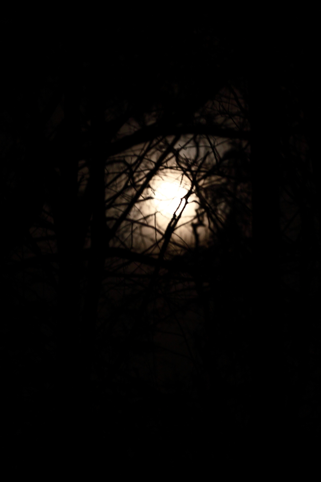 2012 03 07 8507